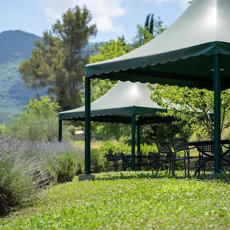 Il Giardino Del Sole - Lavanda *